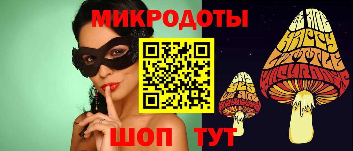 Галлюциногенные грибы Cubensis Грозный