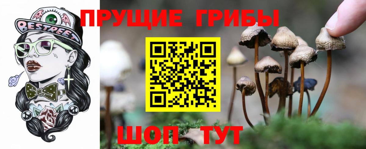 Грозный  Галлюциногенные грибы прущие грибы  Вход с VPN  Псилоцибиновые грибы GOLDEN TEACHER 