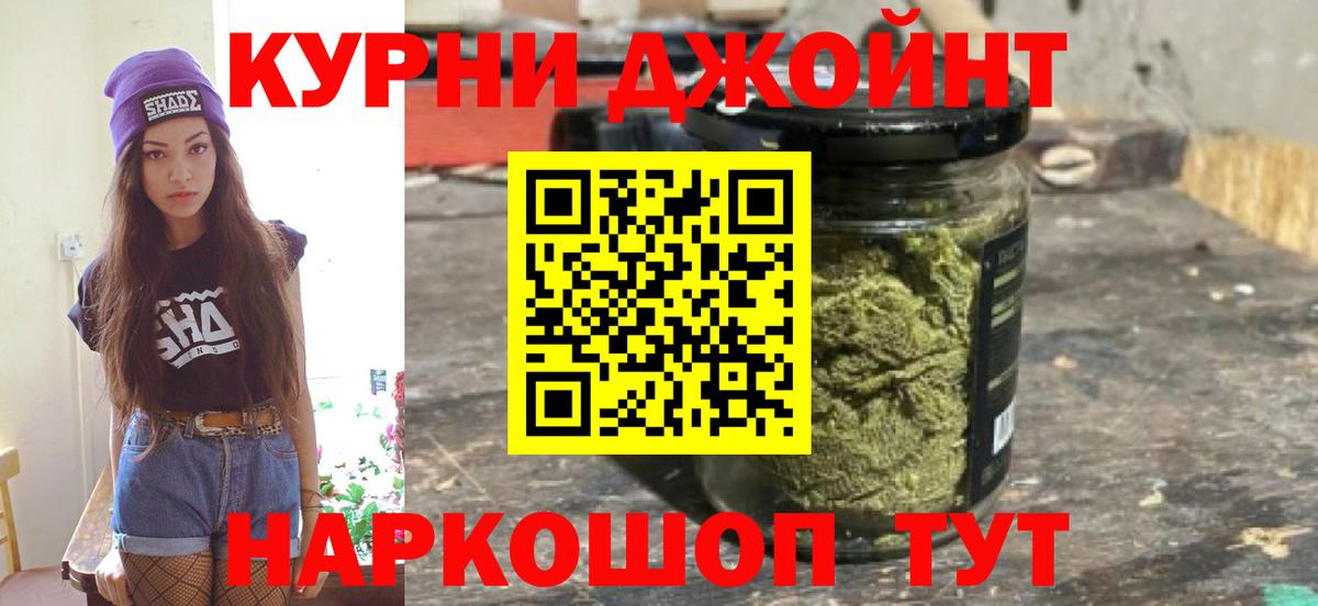Конопля планчик Грозный